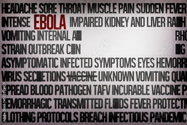 Fototapeta Ebola word cluster