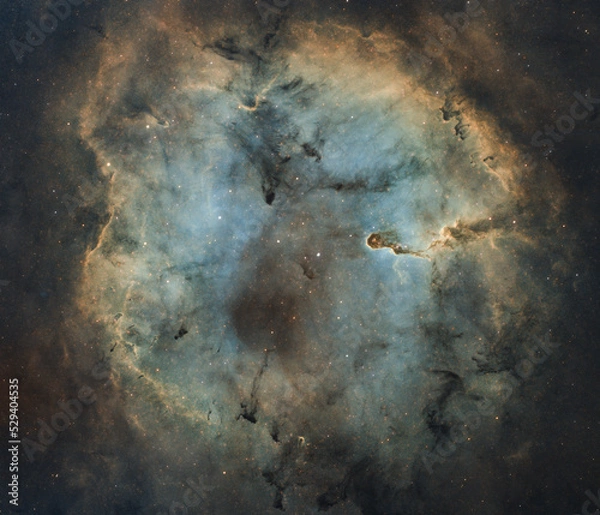 Obraz Elephants Trunk Nebula