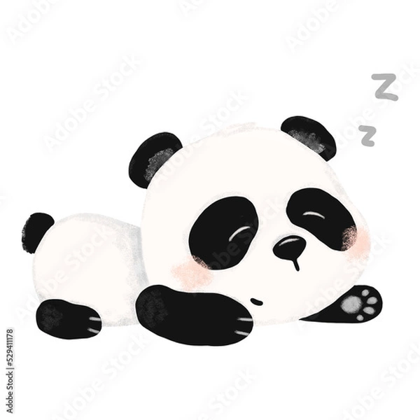 Obraz Cute little panda sleeping on a transparent background