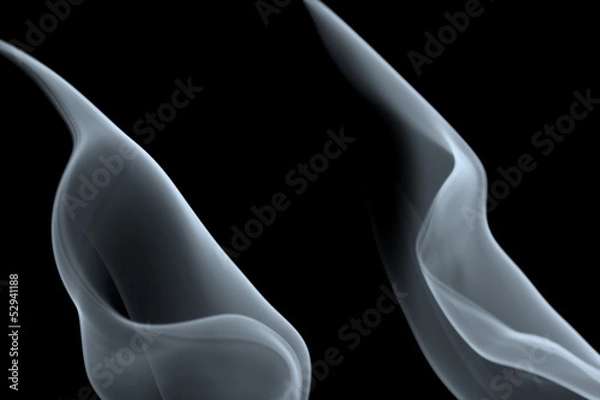 Fototapeta Imaginative smoke shapes on black 1