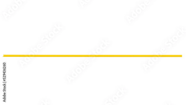 Obraz Fiber Optic Patch Cord on isolated white background