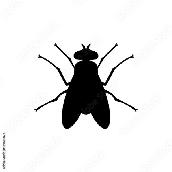 Obraz Fly Icon Silhouette Vector Illustration On White Background. Fly vector icon on white background. Flat vector fly icon symbol sign from modern animals collection for mobile concept and web apps design