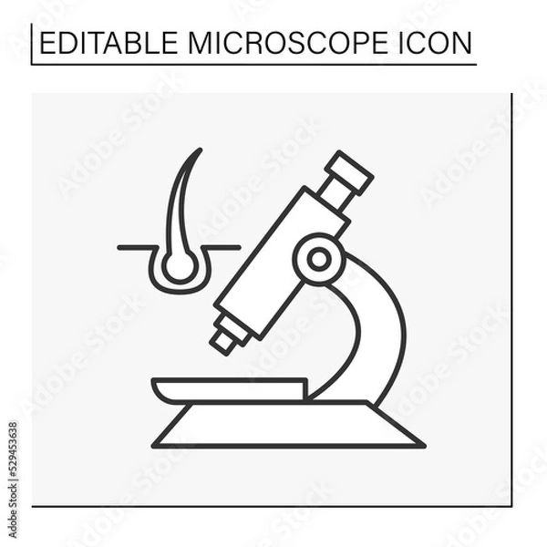 Fototapeta  Researching line icon. Analyzing hair follicles by microscope. Hair loss. Science concept. Isolated vector illustration. Editable stroke