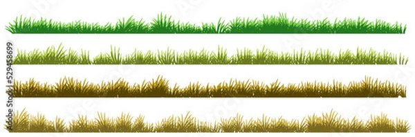 Fototapeta short grass. long grass background