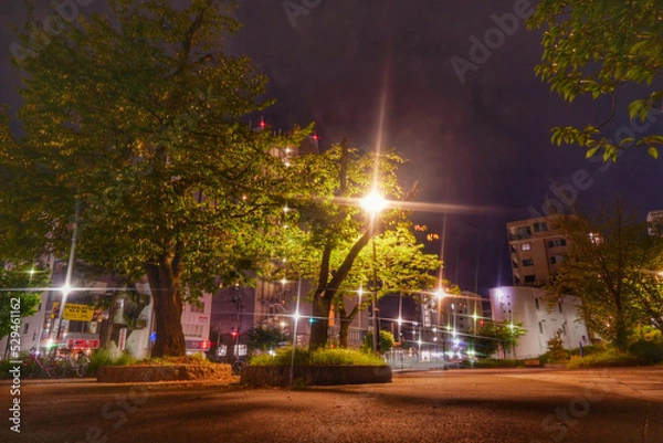 Fototapeta 夜の公園の散歩の帰り