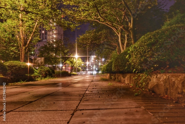 Fototapeta 公園から見た道路