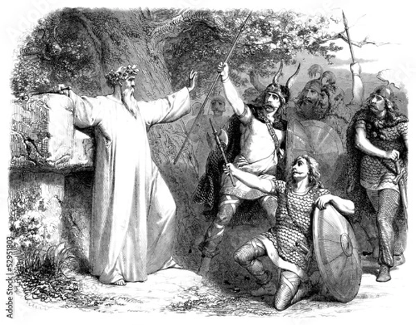 Obraz Gal: Druid & Warriors