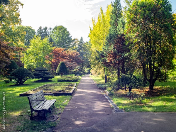 Fototapeta 秋の豊平公園（北海道札幌市豊平区）