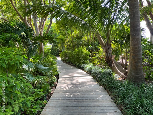 Obraz A wooden pathway trail during a sunny day in the tropical woods in the Florida Keys.