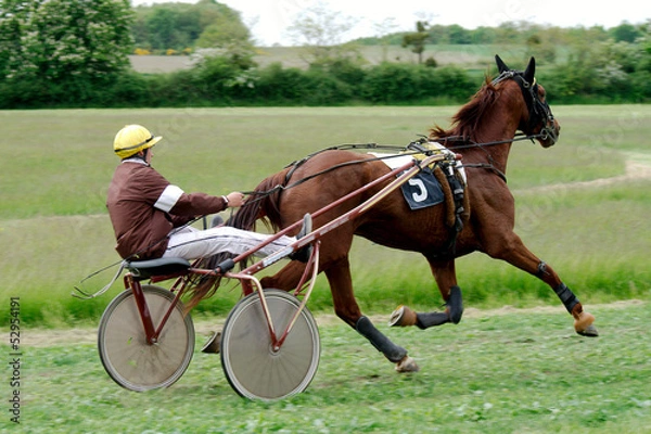 Obraz Course Hippique #63