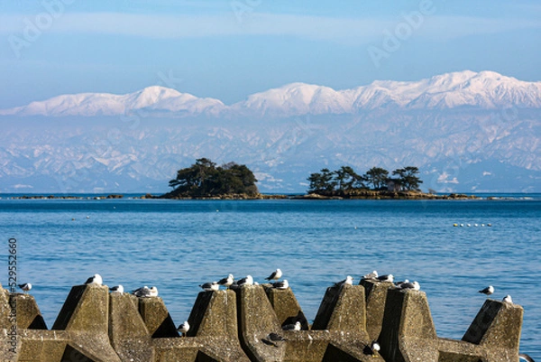 Obraz 冬の氷見海岸から日本海越しの雪の立山連峰
