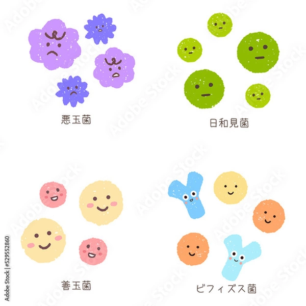 Obraz 手描きのかわいい腸内細菌とビフィズス菌