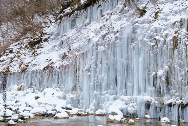 Fototapeta 一面に拡がる氷柱白川氷柱群