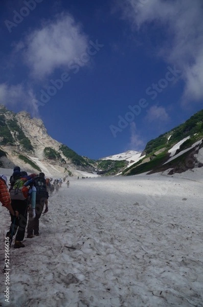 Obraz 白馬大雪渓