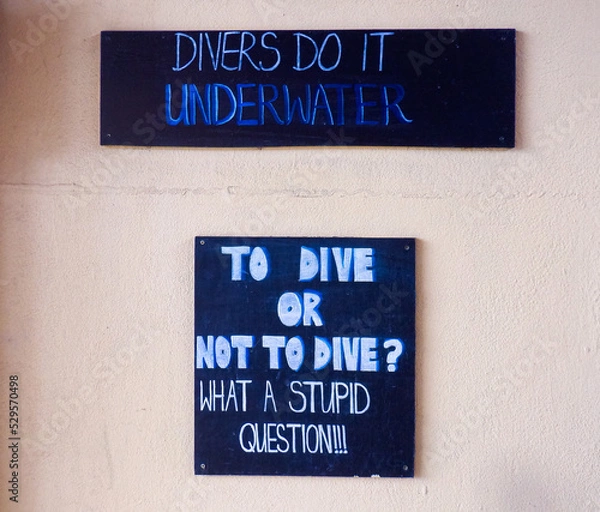Fototapeta Divers Do It Under Water