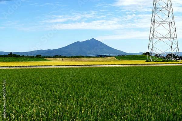 Obraz 田んぼと山（筑波山）