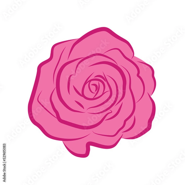 Fototapeta Rose flower vector isolated on a white background.