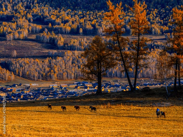 Fototapeta 风景（中国、喀纳斯禾木）