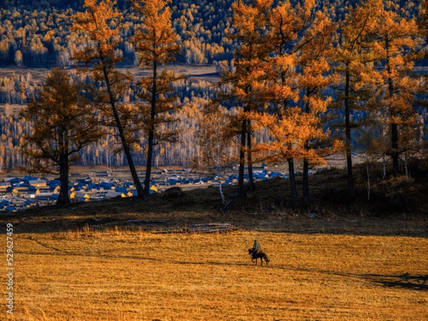 Fototapeta 风景（中国、喀纳斯禾木）