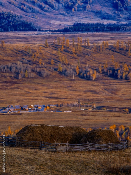 Fototapeta 风景（中国、喀纳斯禾木）