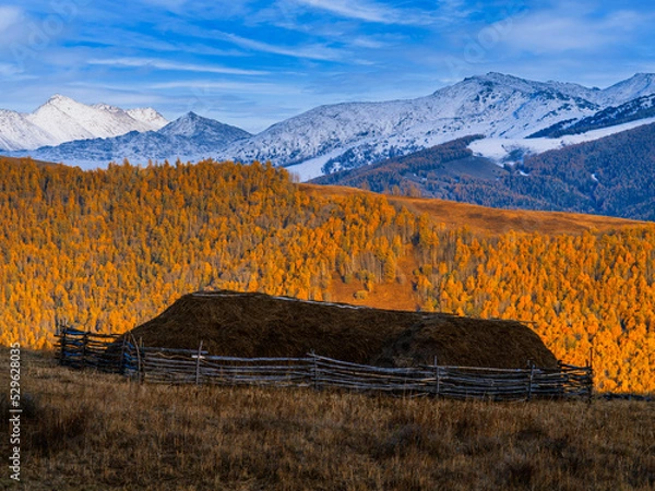 Fototapeta 风景（中国、喀纳斯禾木）