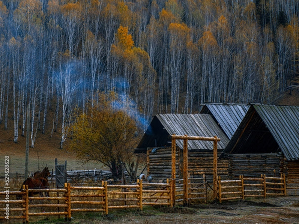 Fototapeta 风景（中国、喀纳斯禾木）
