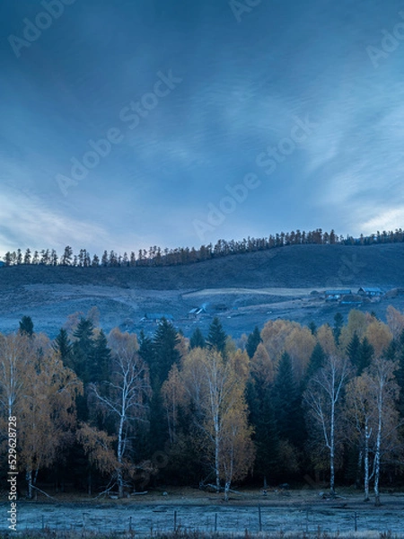 Fototapeta 风景（中国、喀纳斯禾木）