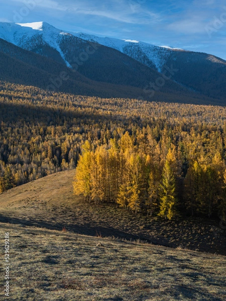 Fototapeta 风景（中国、喀纳斯禾木）