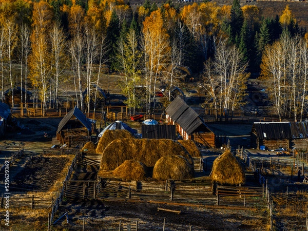 Fototapeta 风景（中国、喀纳斯禾木）