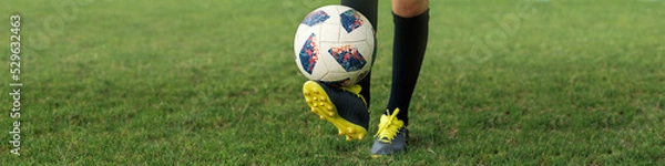 Fototapeta banner 1x4 feet of a young football player in boots and with a ball on the football field