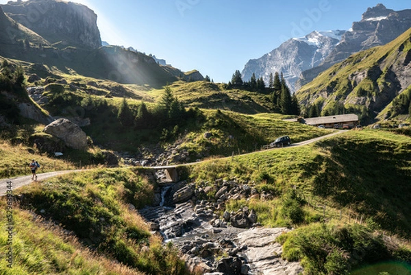 Fototapeta Via alpina trail switzerland. Morning view on Bernese range. Popular tourist attraction. Location place Swiss alps, Grindelwald valley, Europe.