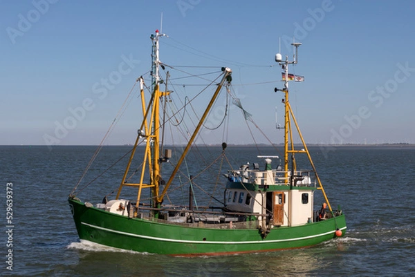 Fototapeta Grüner Fischkutter