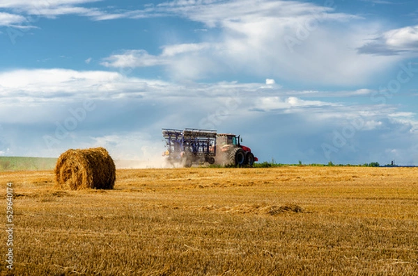 Obraz tractor field harvest wheat rolls sky beautiful view clouds summer season hay straw agriculture harvesting