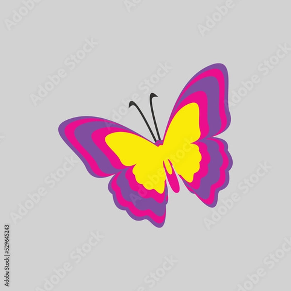 Obraz butterfly illustration