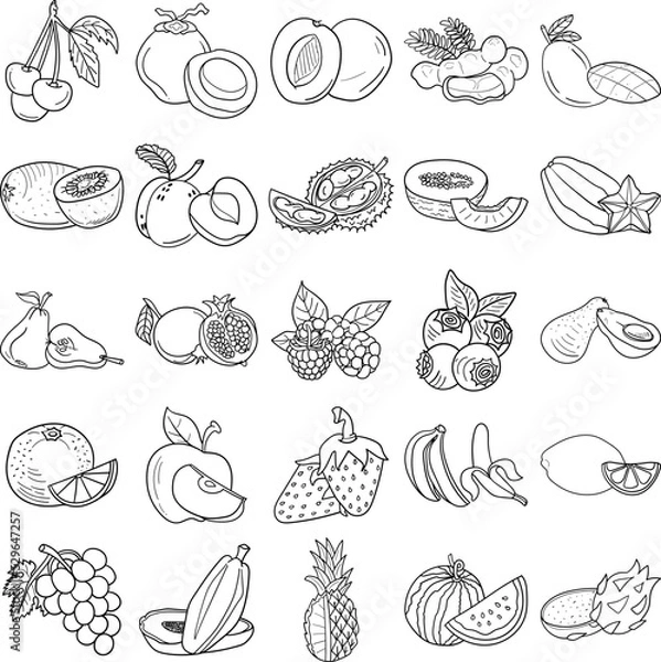 Obraz A set of fruits hand-drawn doodle line art outline containing Watermelon, Mango, Avocado, Melon, Tamarind, Durian, Apple, Dragon fruit, Pomegranate, Strawberry, Raspberry, Peach, Plum, Orange, Lemon
