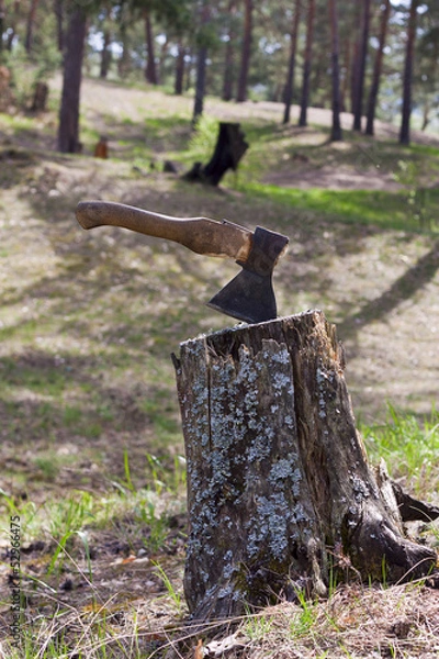 Obraz Ax stump, wood