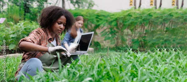 Fototapeta teenage female student uses laptop computer to analyze and research agricultural crops in vegetable plot with copy space, agricultural technology concept