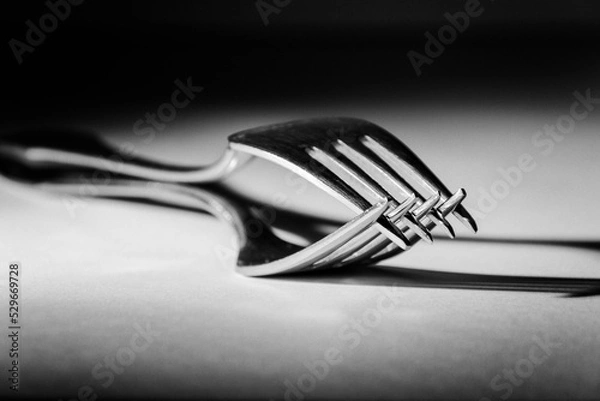 Obraz Two forks