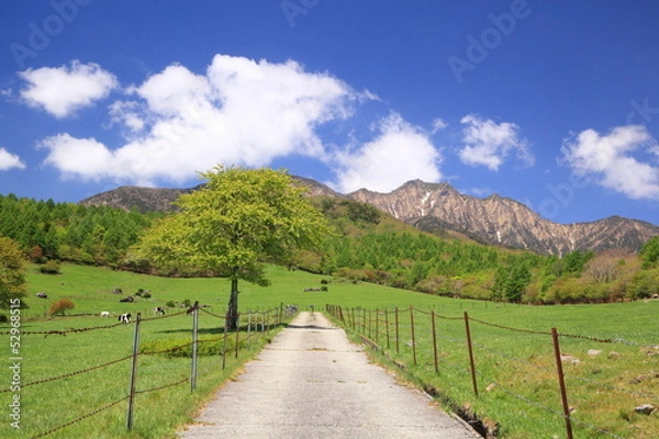 Fototapeta Straight road in meadow and Mt. Yatsugatake