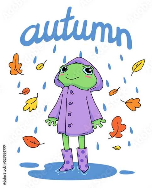 Fototapeta Cute autumn illustration of a toad in a raincoat and rubber boots. Funny cartoon frog in raincoat in the rain with "autumn" caption for postcards and posters