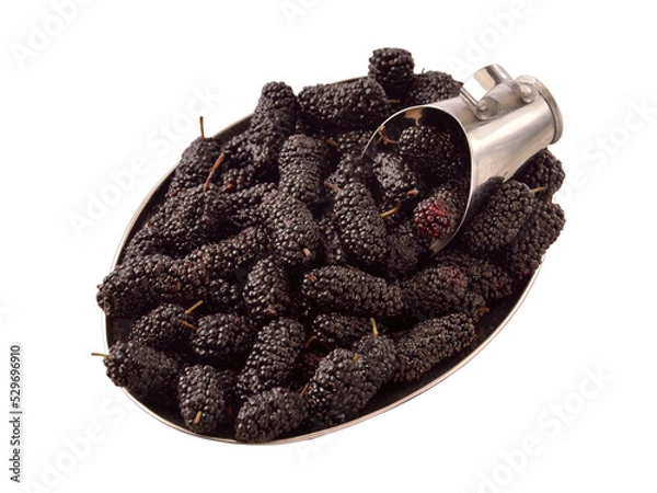 Fototapeta Blackberry with Metal Shell