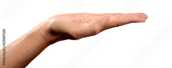 Obraz Flat Male Hand