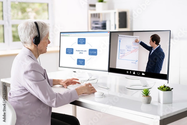 Obraz Online Virtual Video Conference Training