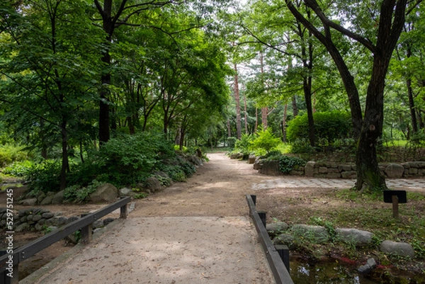 Fototapeta Walking path with tree along the way. Seoul Forest in Seoul, South Korea.