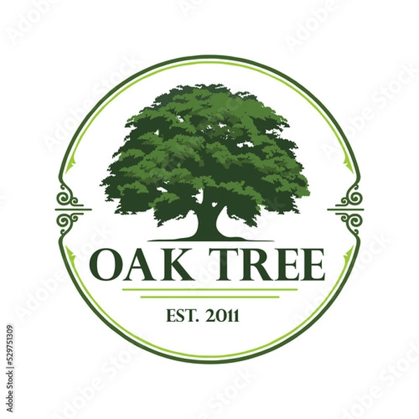 Obraz oak tree illustration for logo 