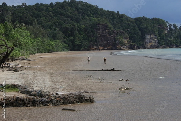 Obraz バコ国立公園の砂浜