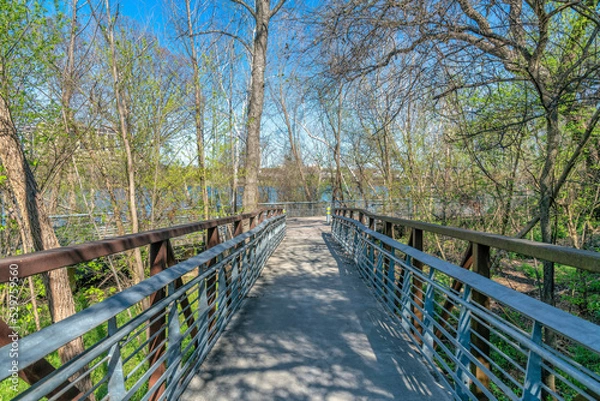 Fototapeta Austin, Texas- Boardwalk near the river in the middle of trees