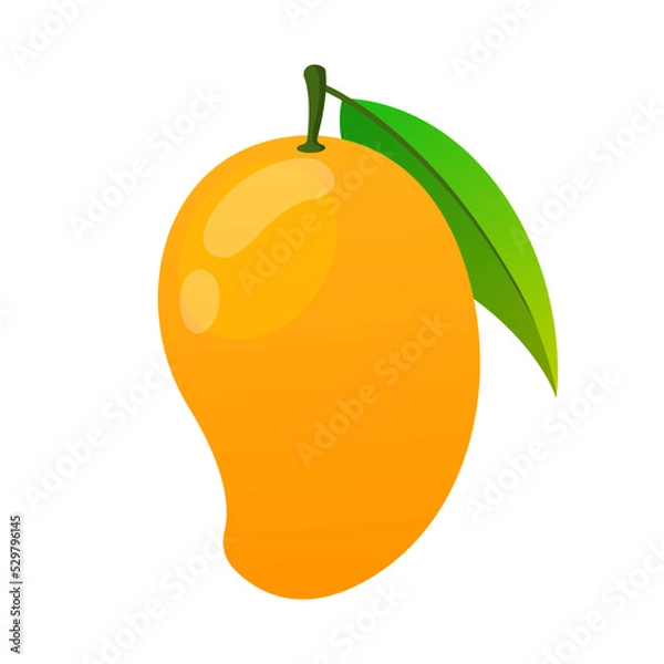 Obraz mango vector illustration logo icon clipart