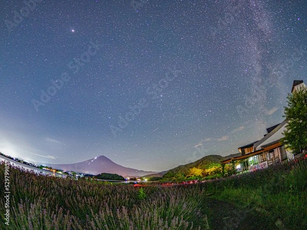 Obraz 夏の煌めき～ラベンダー