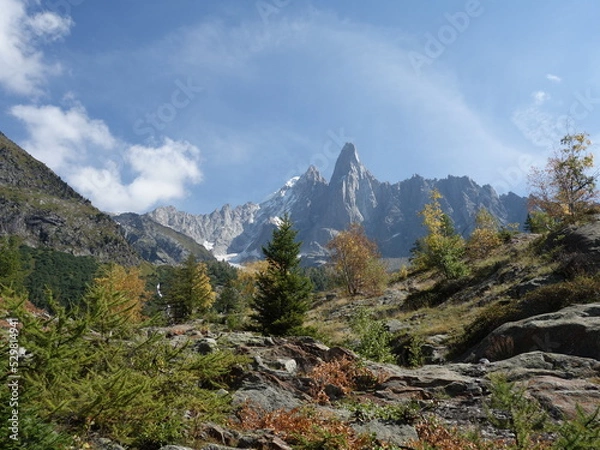Obraz Les Drus